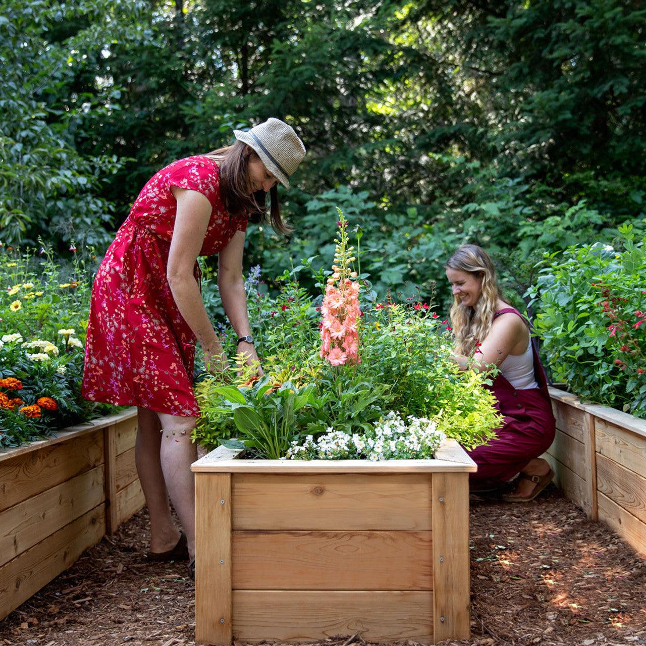 Cedar Raised Garden Beds