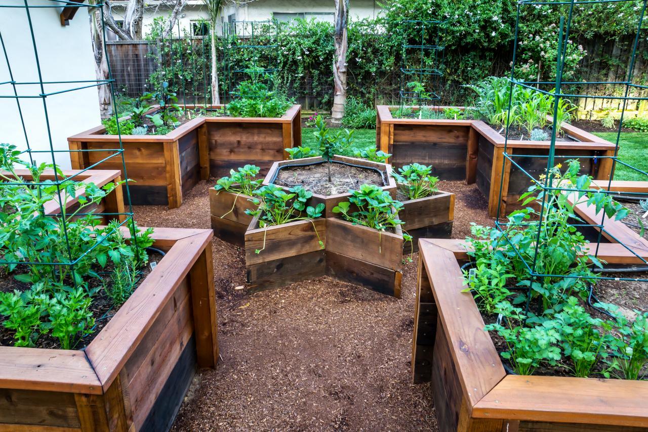 Raised Beds