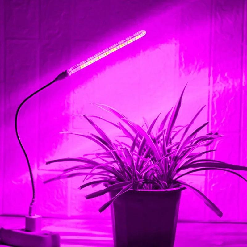 USB LED Grow Light - Compact Red & Blue Grow Light for Hydroponics and Indoor Gardening