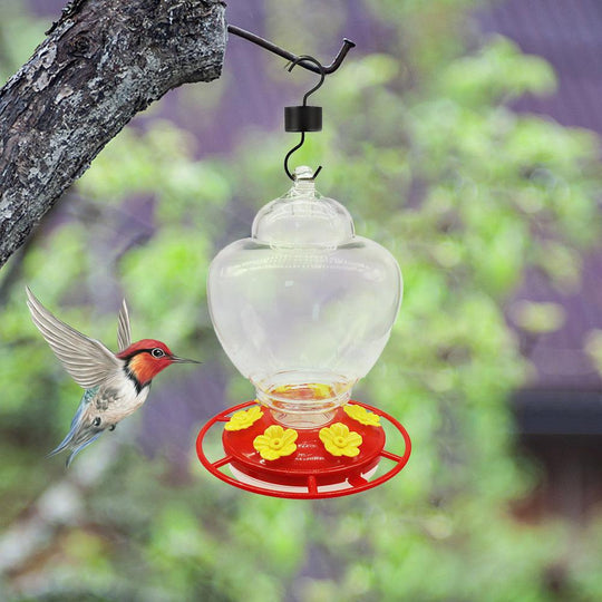 Hummingbird Feeder - Leak-Proof and Detachable Outdoor Feeder for Window and Garden, Easy to Clean, Unique Design