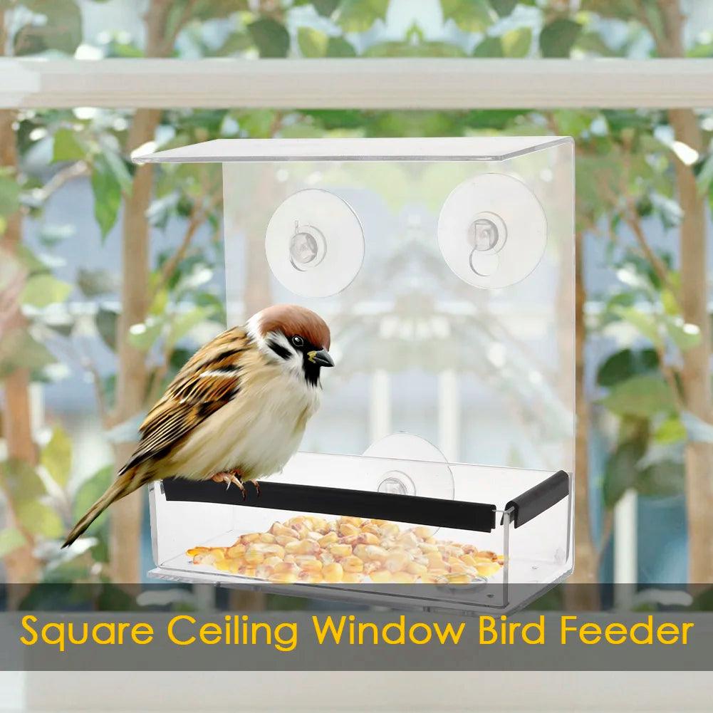 Clear View Acrylic Bird Feeder for Windows | Transparent Tray with Suction Cups | Small Window Sill Feeder | Easy Install