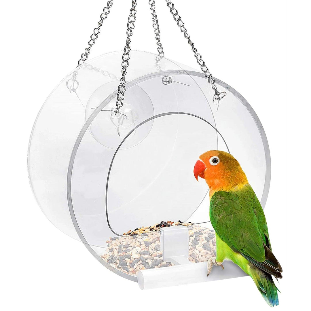 Clear View Acrylic Bird Feeder for Windows | Transparent Tray with Suction Cups | Small Window Sill Feeder | Easy Install