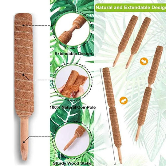 4Pcs Moss Pole for Plants with Ties and Tools - Coco Coconut Support Sticks for Climbing Plants, 19.6in Garden Stake