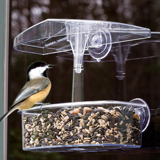 Clear View Acrylic Bird Feeder for Windows | Transparent Tray with Suction Cups | Small Window Sill Feeder | Easy Install