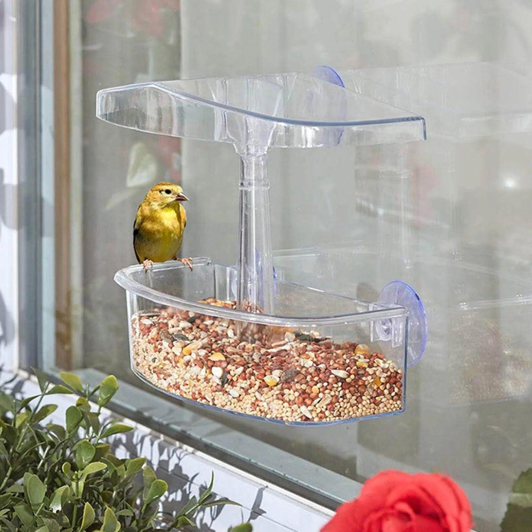 Clear View Acrylic Bird Feeder for Windows | Transparent Tray with Suction Cups | Small Window Sill Feeder | Easy Install