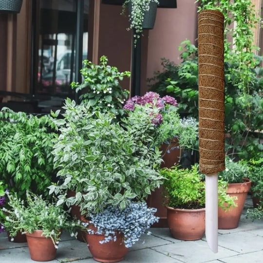 Premium Coir Moss Pole for Plants - Adjustable Plant Support Stake, Ideal for Climbing Vines & Indoor Plant Support