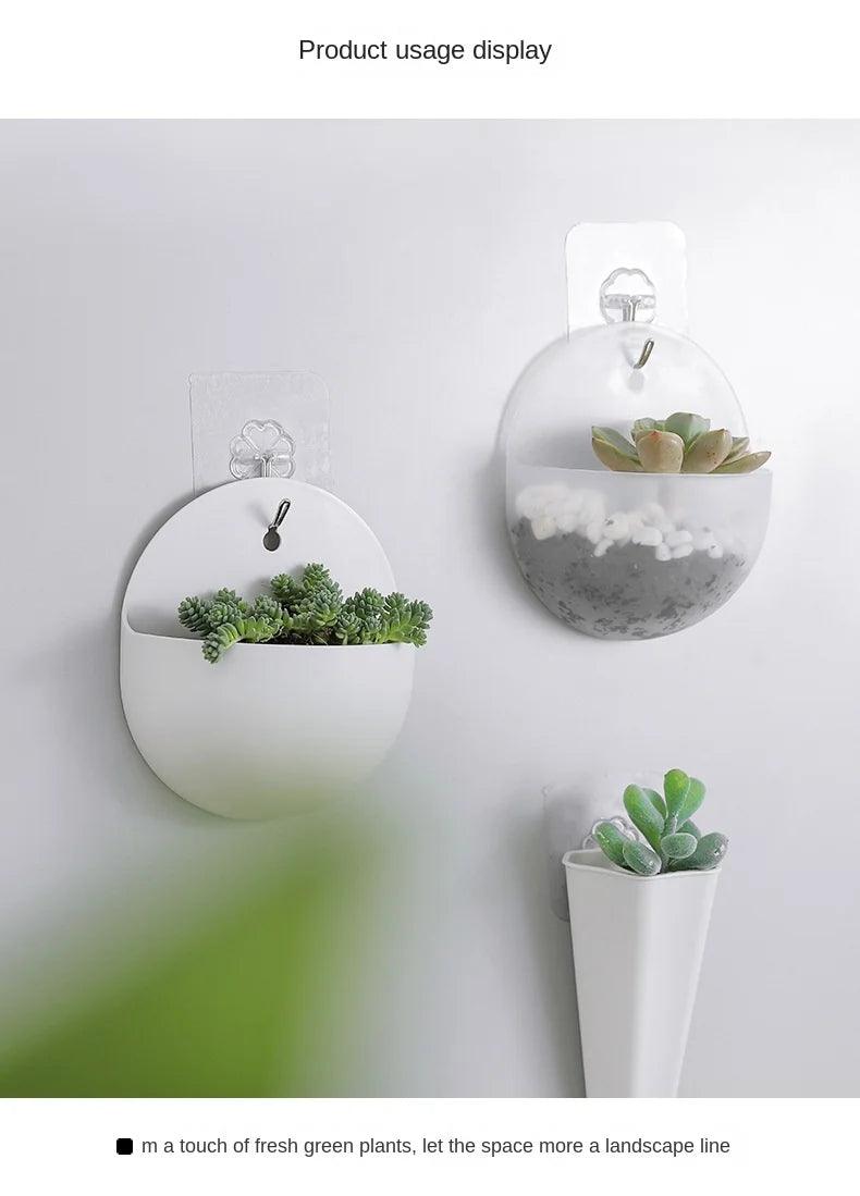 Indoor & Outdoor Wall Planters: Hydroponic Flower Pot, Vertical Garden, Wall Hanging & Mounted Plant Holders