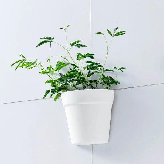 Wall Planters for Indoor & Outdoor | Wall Hanging Planter, Vertical Garden Planters, Wall Mounted Flower Pots