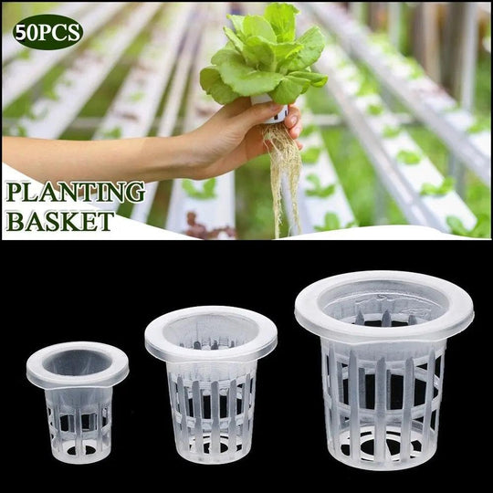 50Pcs Hydroponic Mesh Pots – Transparent Net Cup Baskets for Aeroponic Planting and Soilless Cultivation