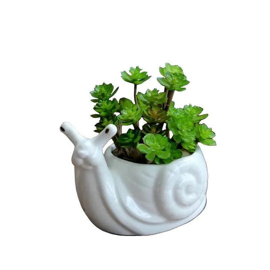 Ceramic Turtle Snail Planter - Cute Animal Succulent Pot for Cactus and Bonsai