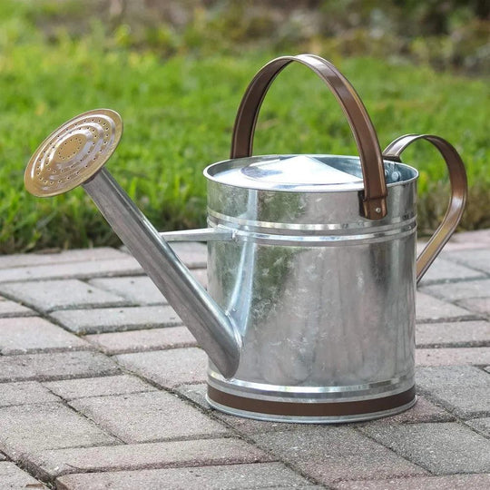 2.6 Gallon Classic Shiny Galvanized Metal Watering Can with Removable Spray Spout, Easy-Pour, suitable for Indoor and Outdoor Gardeing