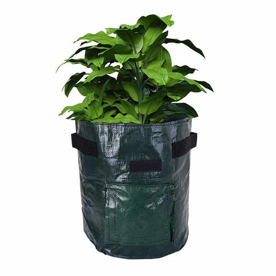 Thickened Potato Grow Bag with Handles | Durable PE Vegetable Planting Bag for Indoor & Outdoor Use