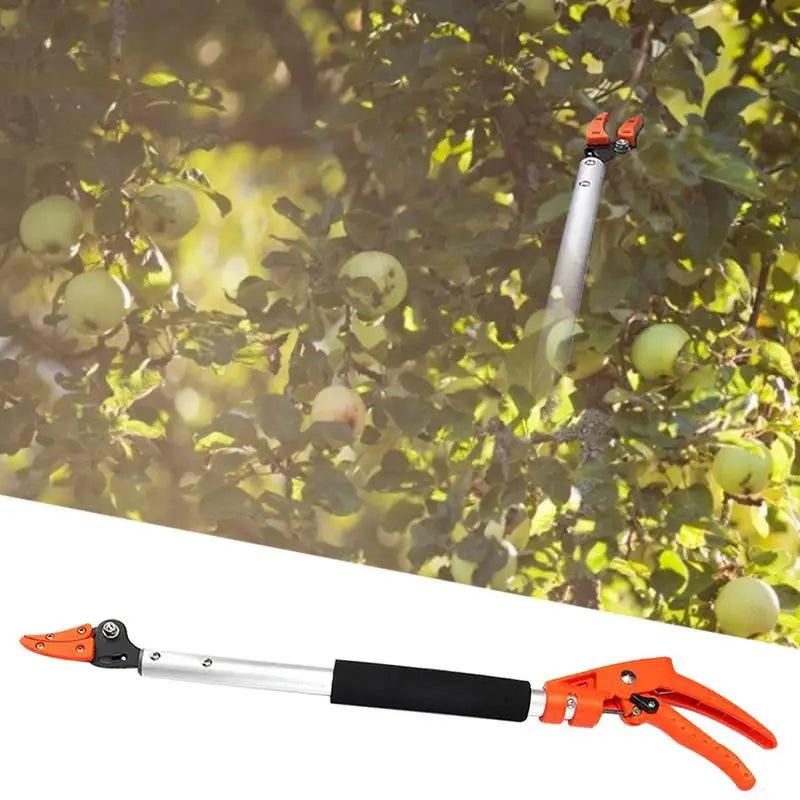 Pole Tree Loppers, Tree Pruners, Bypass Branch Cutters, Best Loppers for Tree Trimming & Garden Shears