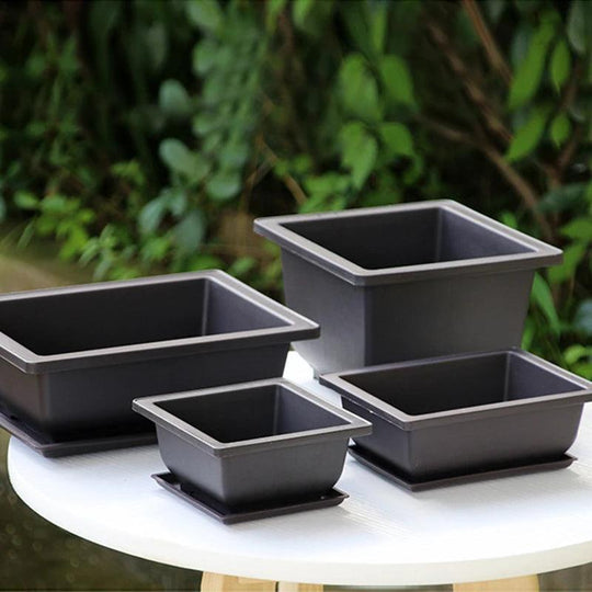 Plastic Training Pots - Imitation Succulent and Bonsai Planters