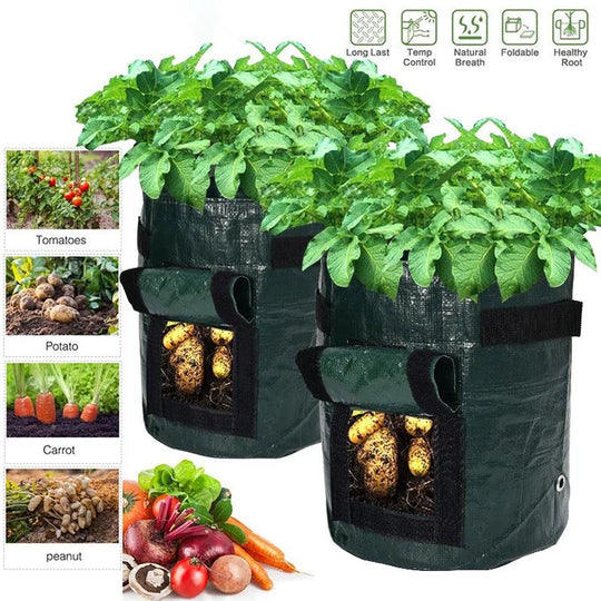 Thickened Potato Grow Bag with Handles | Durable PE Vegetable Planting Bag for Indoor & Outdoor Use