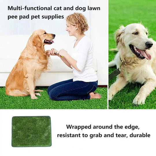 Odor-Free Artificial Grass for Dogs - Durable Pet Turf Pee Mat for Clean Home | Fake Grass for Dogs