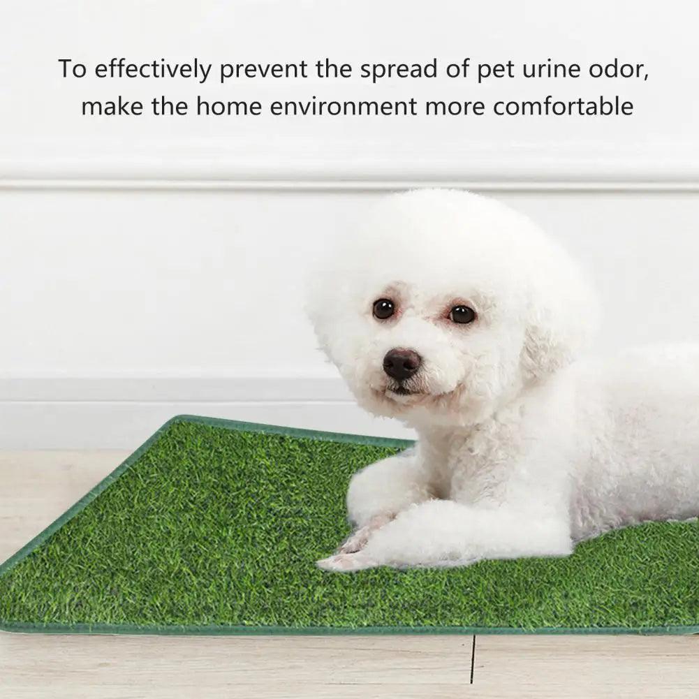 Odor-Free Artificial Grass for Dogs - Durable Pet Turf Pee Mat for Clean Home | Fake Grass for Dogs