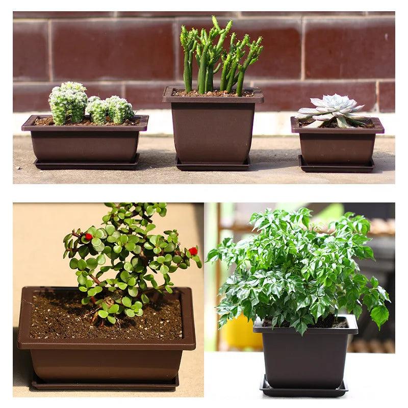 Plastic Training Pots - Imitation Succulent and Bonsai Planters