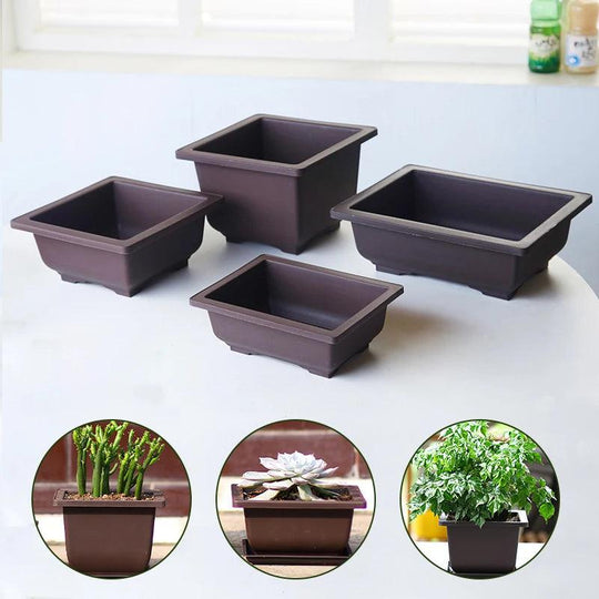 Plastic Training Pots - Imitation Succulent and Bonsai Planters