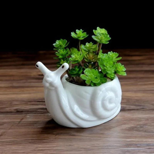 Ceramic Turtle Snail Planter - Cute Animal Succulent Pot for Cactus and Bonsai