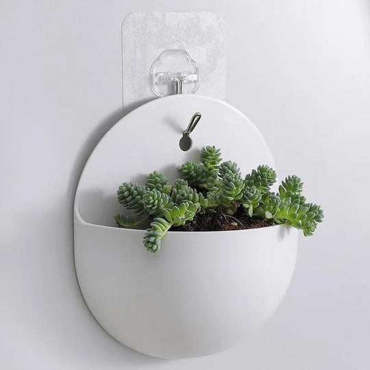 Indoor & Outdoor Wall Planters: Hydroponic Flower Pot, Vertical Garden, Wall Hanging & Mounted Plant Holders