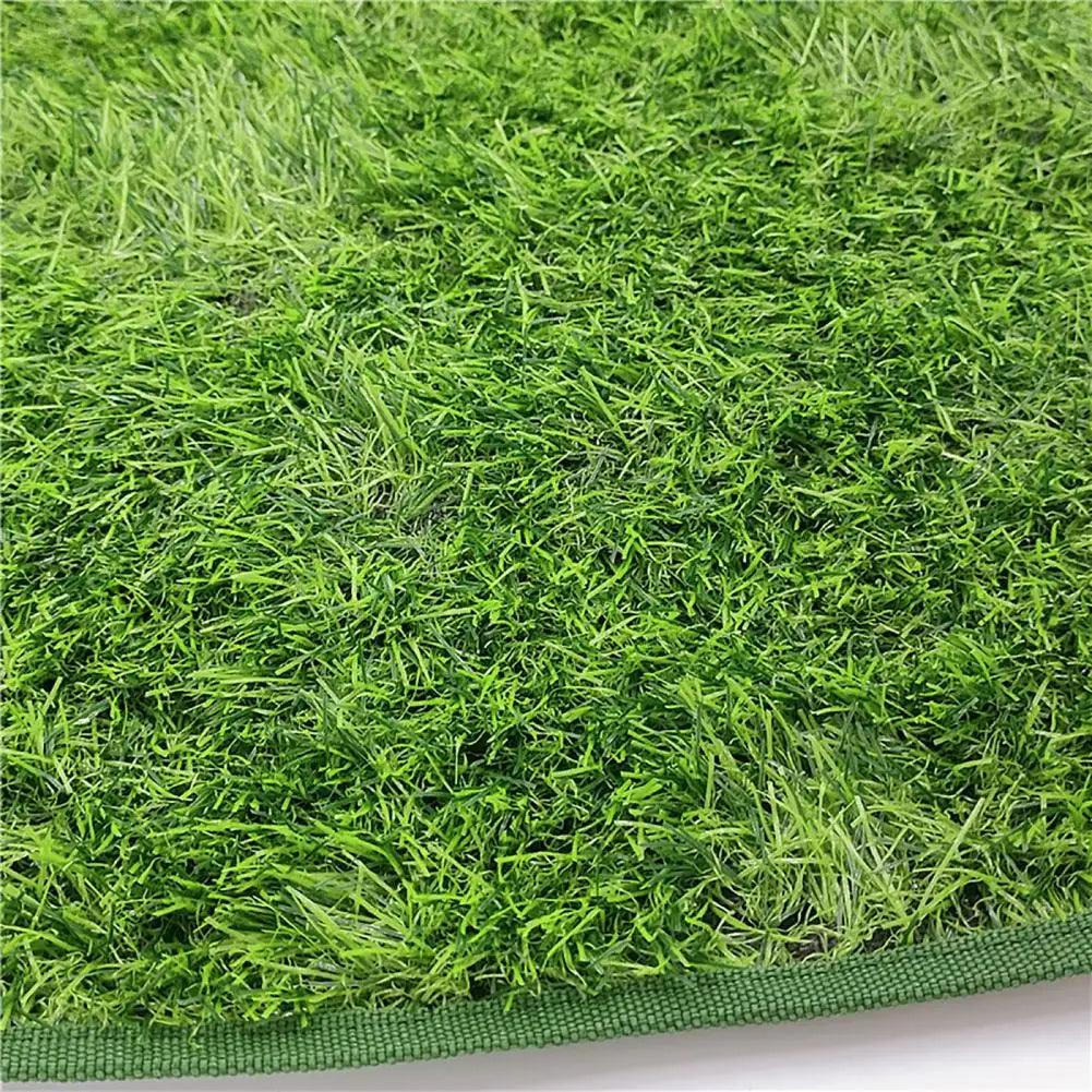 Odor-Free Artificial Grass for Dogs - Durable Pet Turf Pee Mat for Clean Home | Fake Grass for Dogs