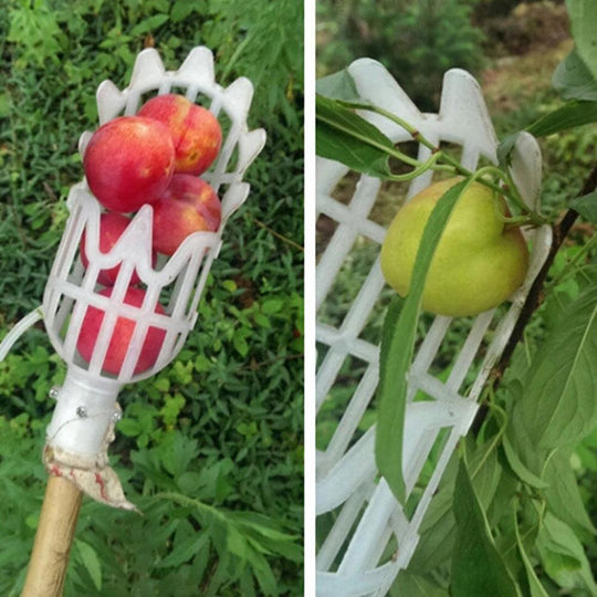 Fruits Picker Tool - Garden Peach Catcher for High Altitude Harvesting, Greenhouse & Orchard Use