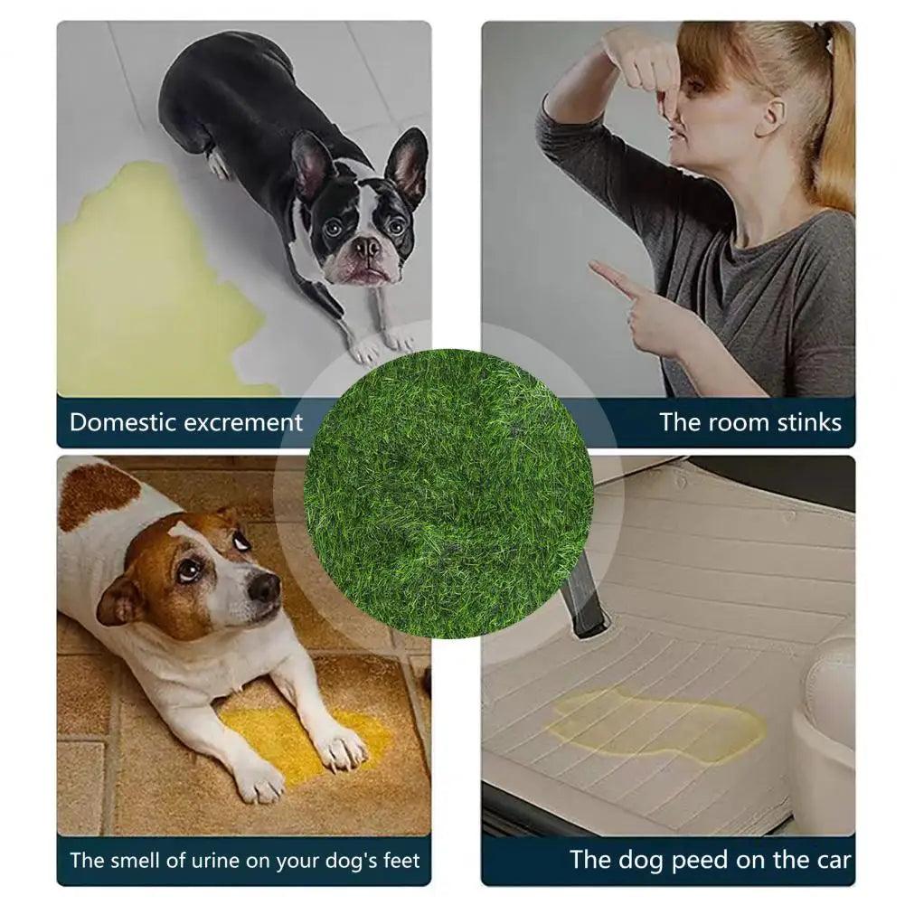 Odor-Free Artificial Grass for Dogs - Durable Pet Turf Pee Mat for Clean Home | Fake Grass for Dogs