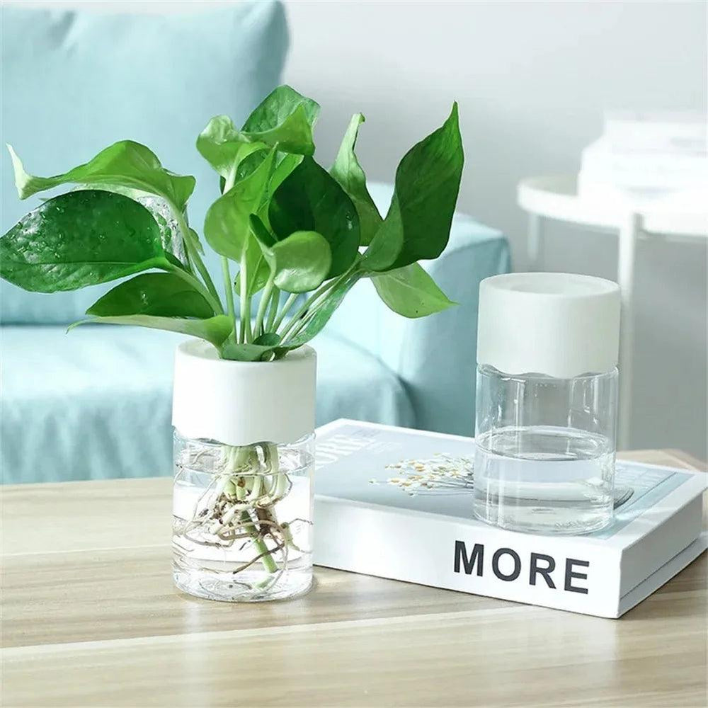 Mini Hydroponic Flower Pot – Transparent Soilless Plant Pot for Home Decor | Stylish Hydroponic Net Cups