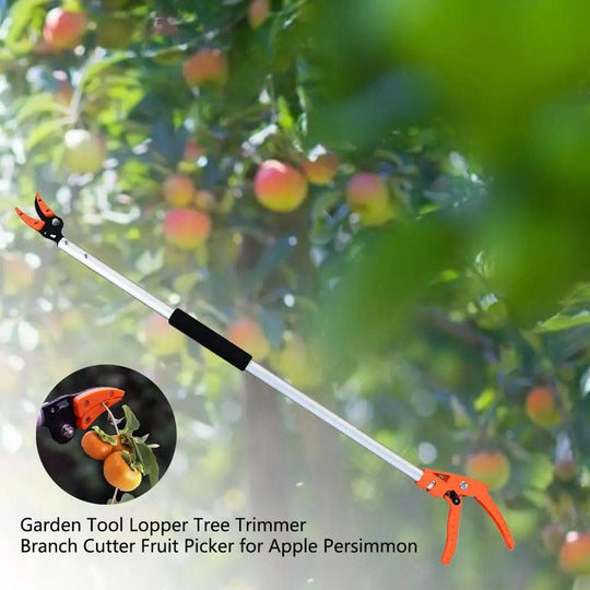 Pole Tree Loppers, Tree Pruners, Bypass Branch Cutters, Best Loppers for Tree Trimming & Garden Shears