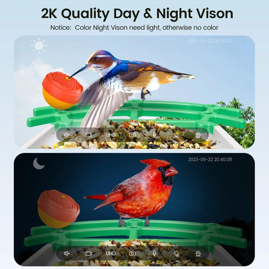 Smart Bird Feeder with Camera | Wireless Outdoor Feeder with 2K Night Vision, AI Recognition, Solar Panel | Auto Capture | Ideal for Large Birds