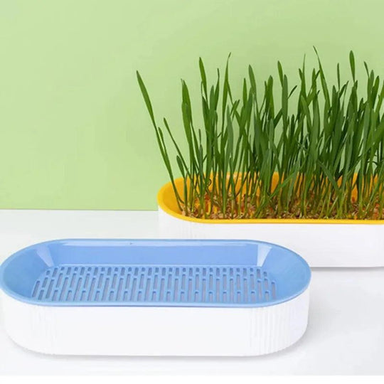 Cat Grass Planting Box – Soilless Hydroponic Seed Sprouter Tray for Home Use | Greenhouse Growing Cup