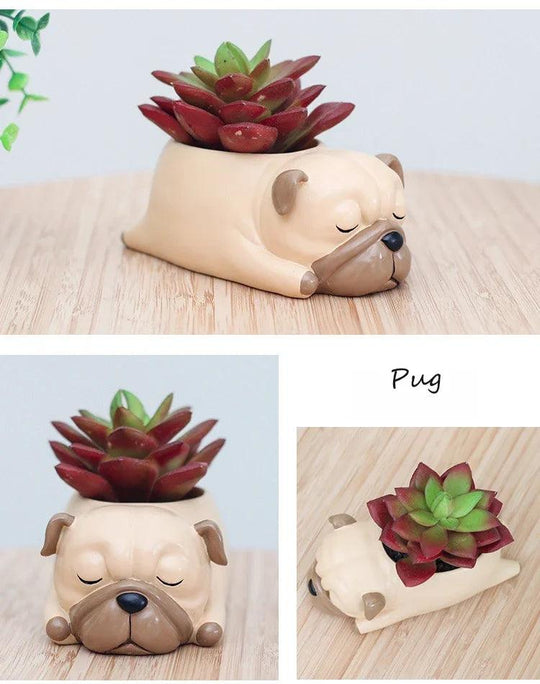 Cute Puppy Corgi Planter - Mini Succulent Pot for Bonsai