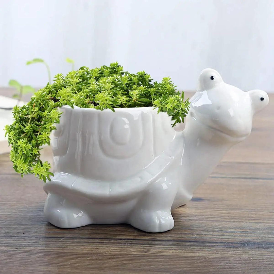 Ceramic Turtle Snail Planter - Cute Animal Succulent Pot for Cactus and Bonsai