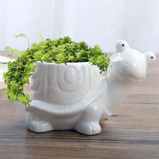 Ceramic Turtle Snail Planter - Cute Animal Succulent Pot for Cactus and Bonsai