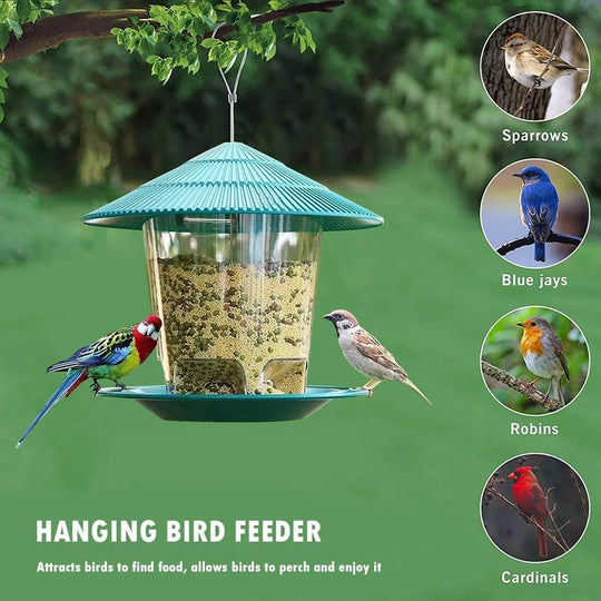 Premium Cardinal Bird Feeder – Squirrel-Proof, Automatic Outdoor Seed Dispenser for Cardinals and Wild Birds, Large Capacity Hanging Garden Feeder