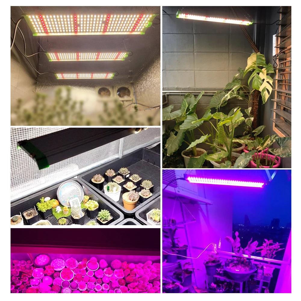 High-Brightness Full Spectrum LED Grow Light - Samsung LM281B for Hydroponic and Indoor Gardens