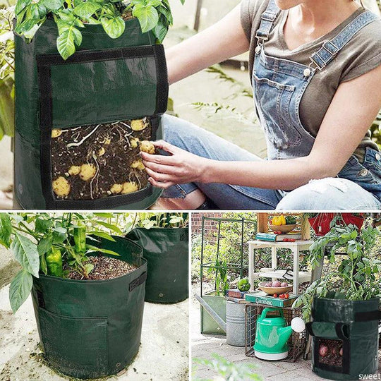 Thickened Potato Grow Bag with Handles | Durable PE Vegetable Planting Bag for Indoor & Outdoor Use