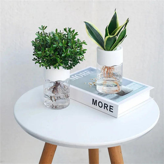 Mini Hydroponic Flower Pot – Transparent Soilless Plant Pot for Home Decor | Stylish Hydroponic Net Cups