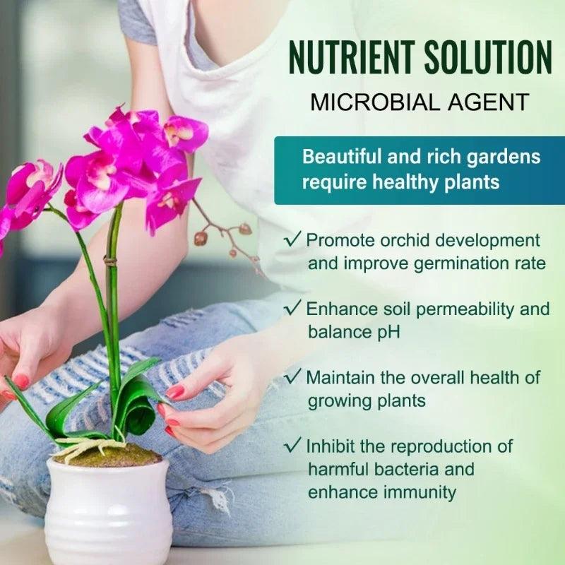 High-Performance Nutrient Solution for Orchids & Succulents - Boost Root Growth & Health