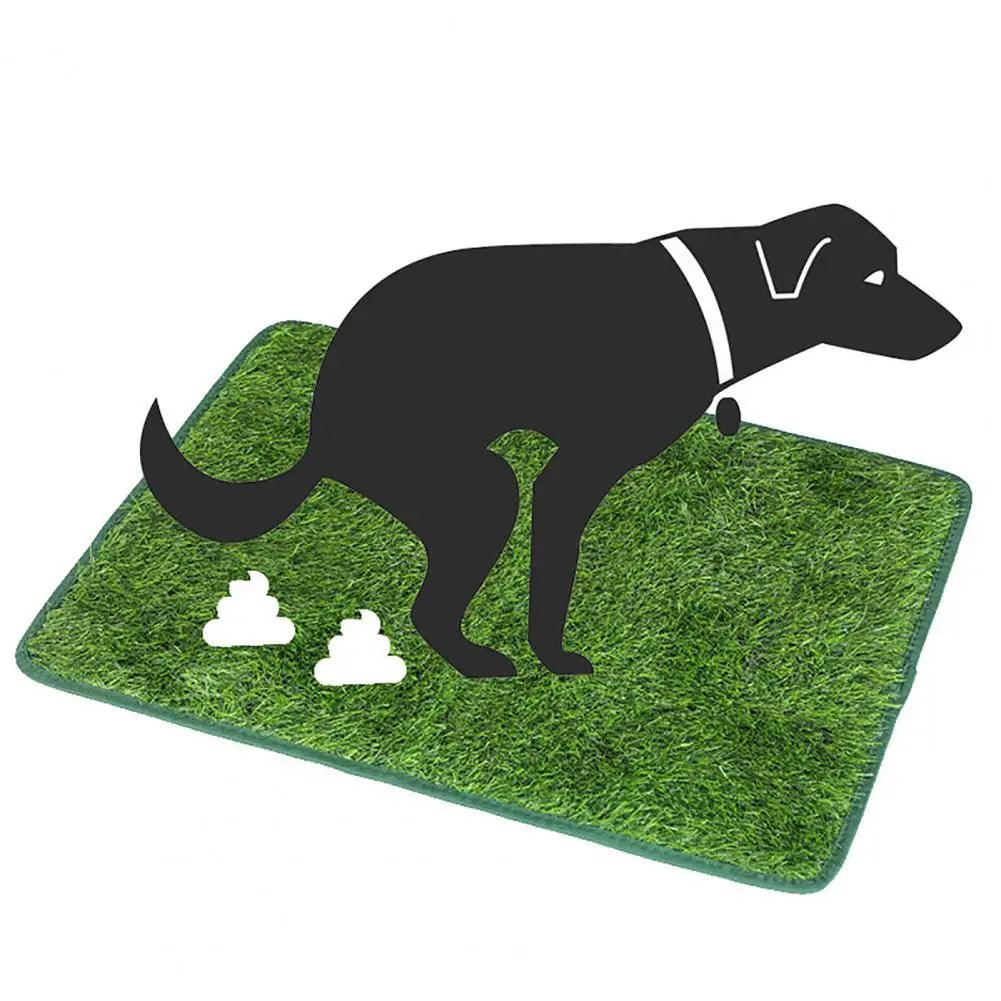 Odor-Free Artificial Grass for Dogs - Durable Pet Turf Pee Mat for Clean Home | Fake Grass for Dogs