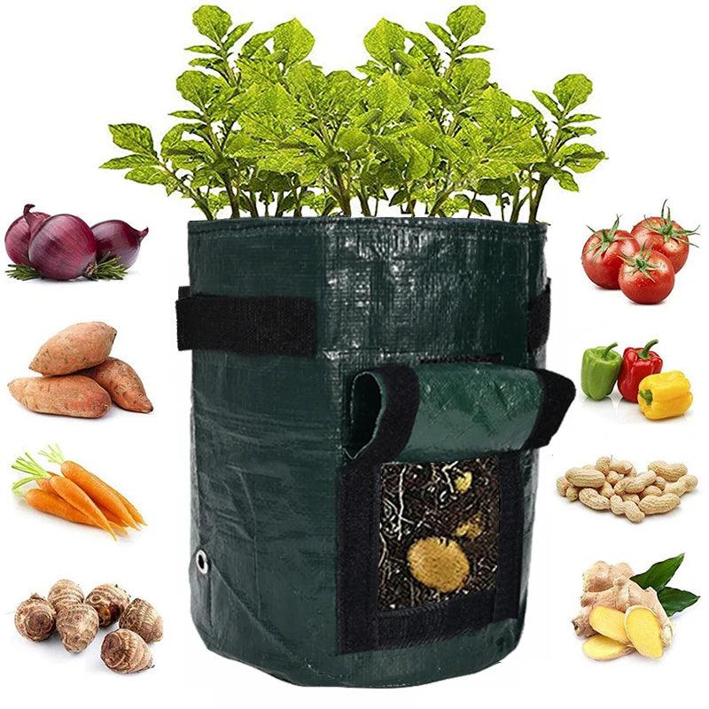 Thickened Potato Grow Bag with Handles | Durable PE Vegetable Planting Bag for Indoor & Outdoor Use