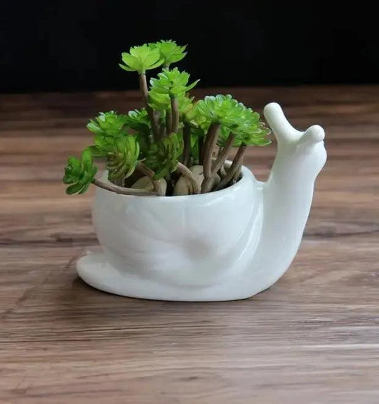 Ceramic Turtle Snail Planter - Cute Animal Succulent Pot for Cactus and Bonsai