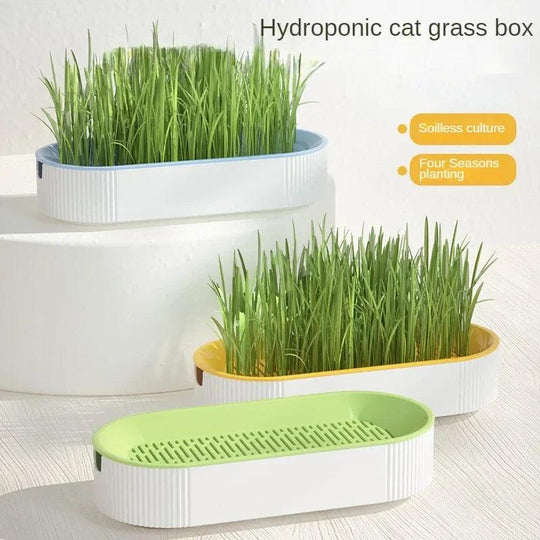 Cat Grass Planting Box – Soilless Hydroponic Seed Sprouter Tray for Home Use | Greenhouse Growing Cup