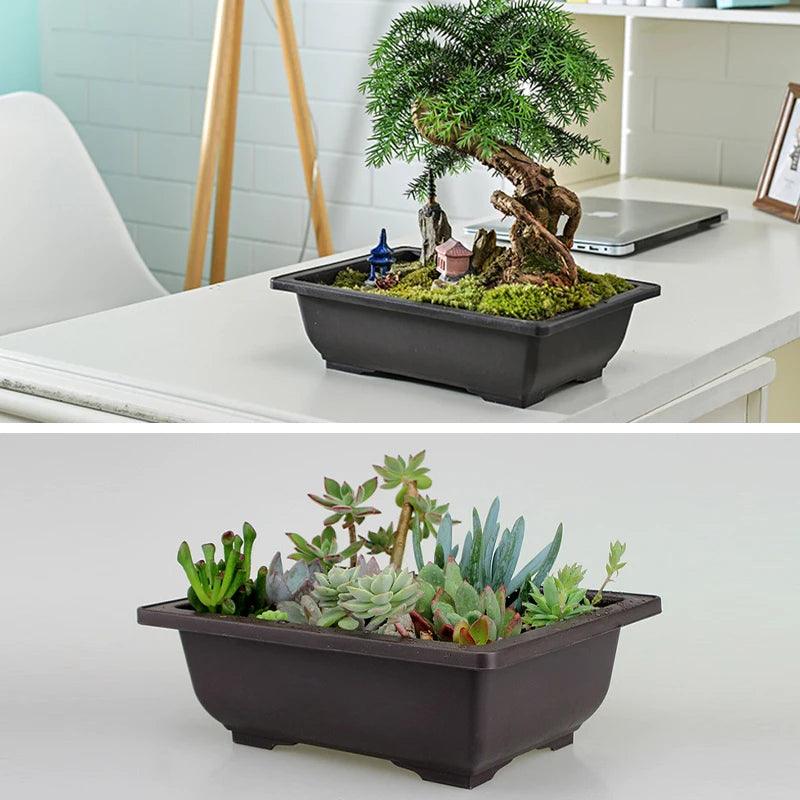 Plastic Training Pots - Imitation Succulent and Bonsai Planters