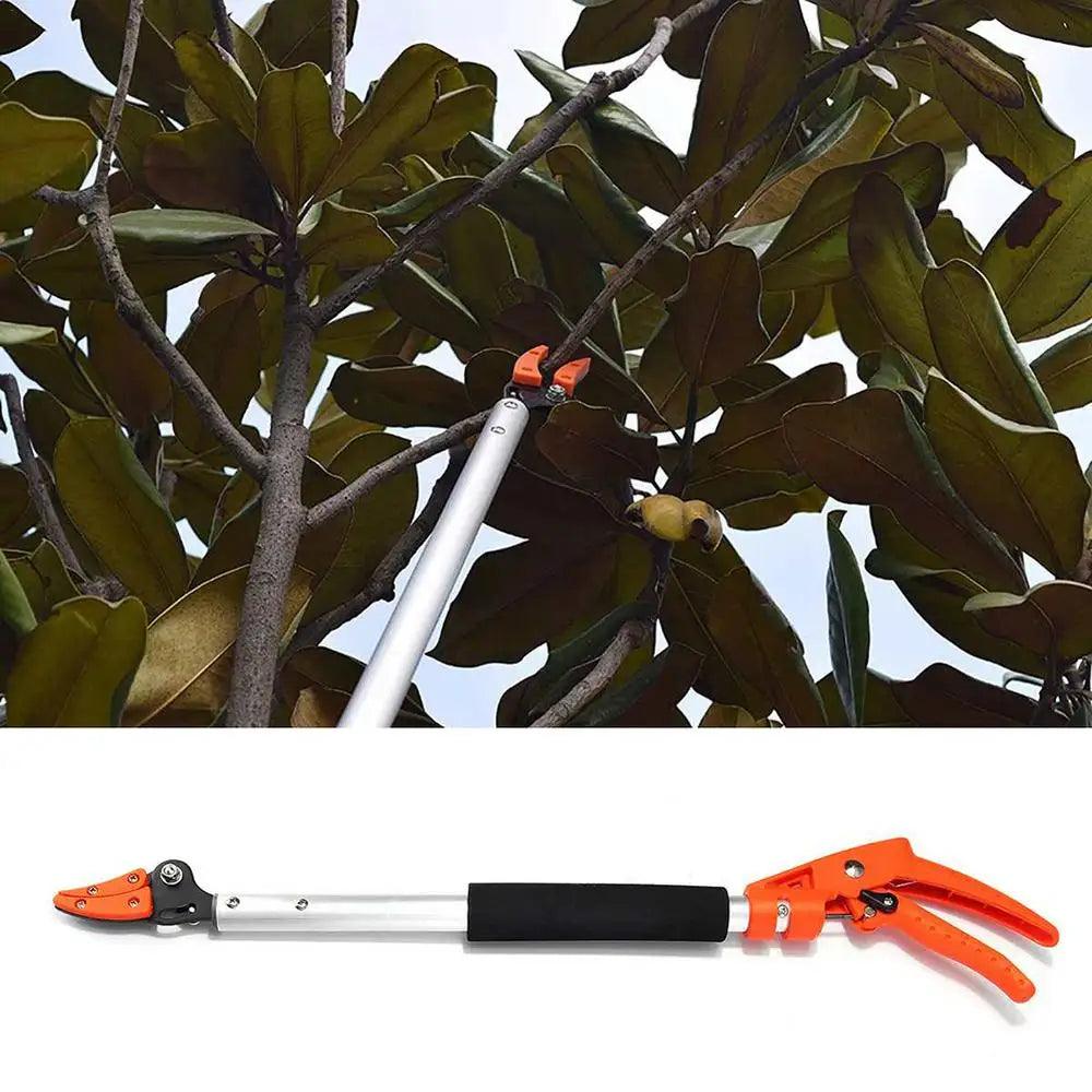 Pole Tree Loppers, Tree Pruners, Bypass Branch Cutters, Best Loppers for Tree Trimming & Garden Shears