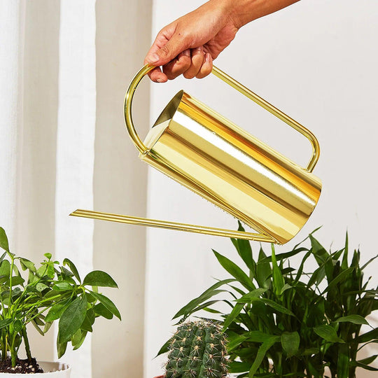 Modern Stainless Steel Watering Can with Long Spout – 1.5 Liters | Ideal for Indoor and Outdoor Gardening