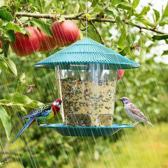 Premium Cardinal Bird Feeder – Squirrel-Proof, Automatic Outdoor Seed Dispenser for Cardinals and Wild Birds, Large Capacity Hanging Garden Feeder