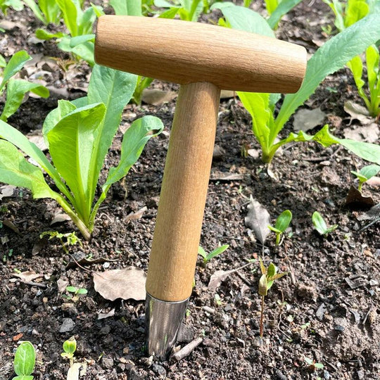 Home Gardening Wooden Planting Tool - Hand Digger for Seeds, Bulbs, and Seedlings Removal