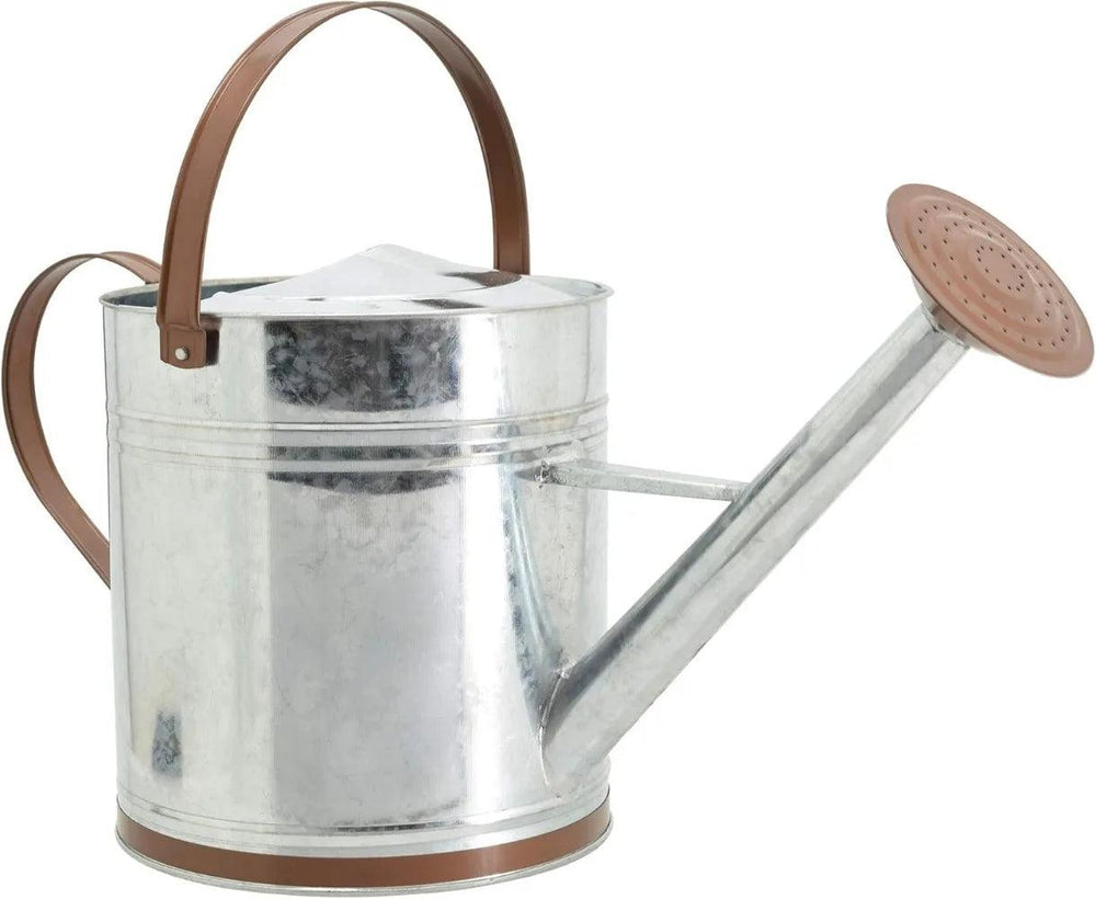 2.6 Gallon Classic Shiny Galvanized Metal Watering Can with Removable Spray Spout, Easy-Pour, suitable for Indoor and Outdoor Gardeing